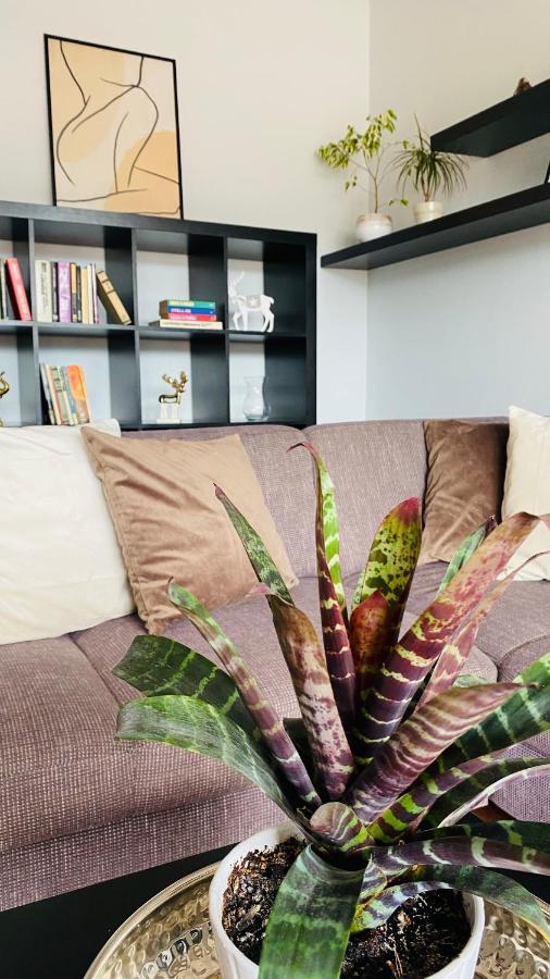 Apartment Mira รูชอมแบรอค ภายนอก รูปภาพ